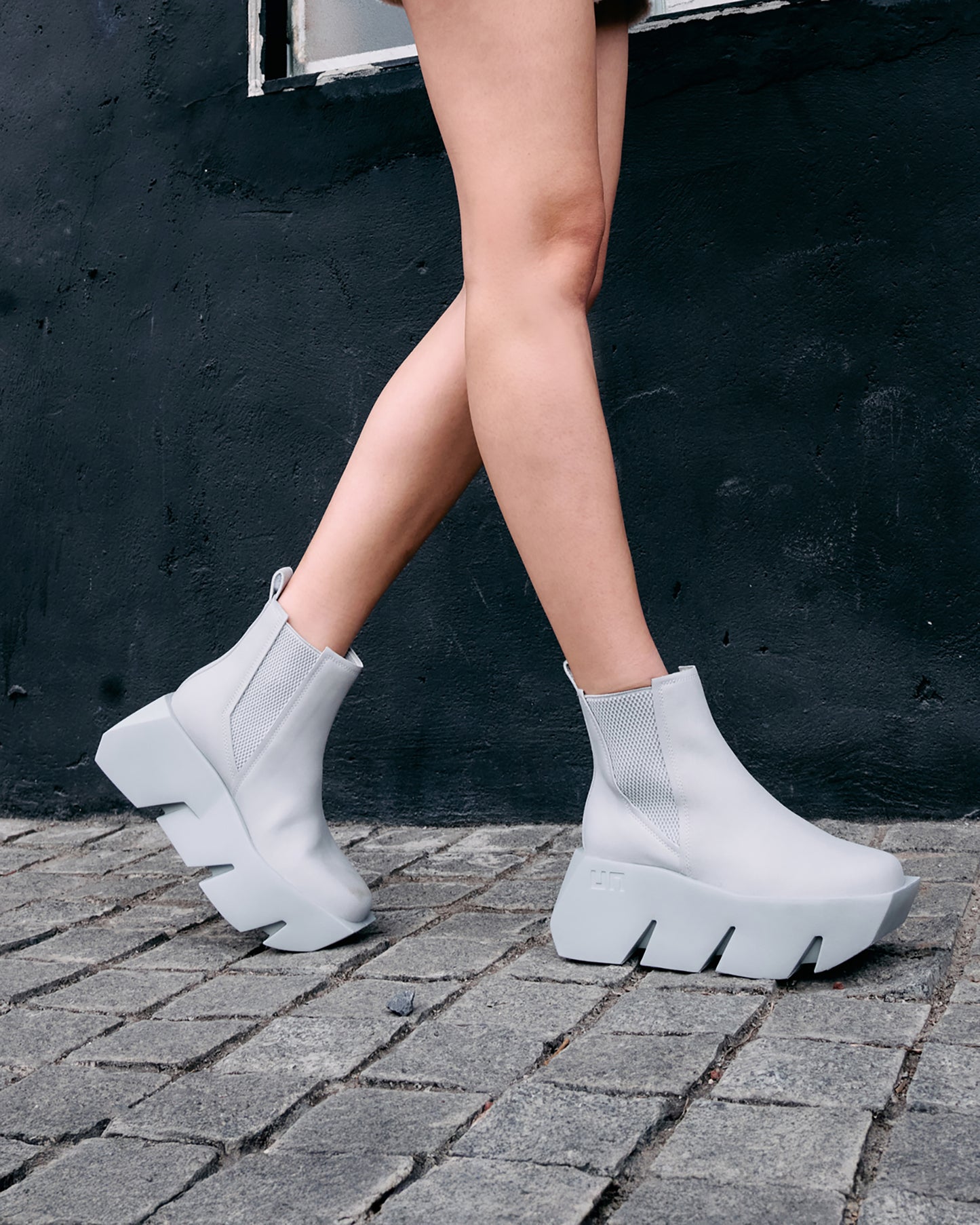 בול צ'לסי דון