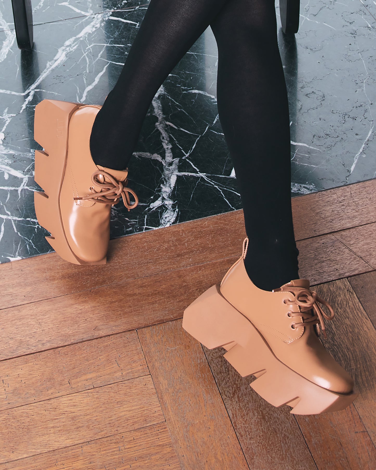 בול דרבי ביסקוויט