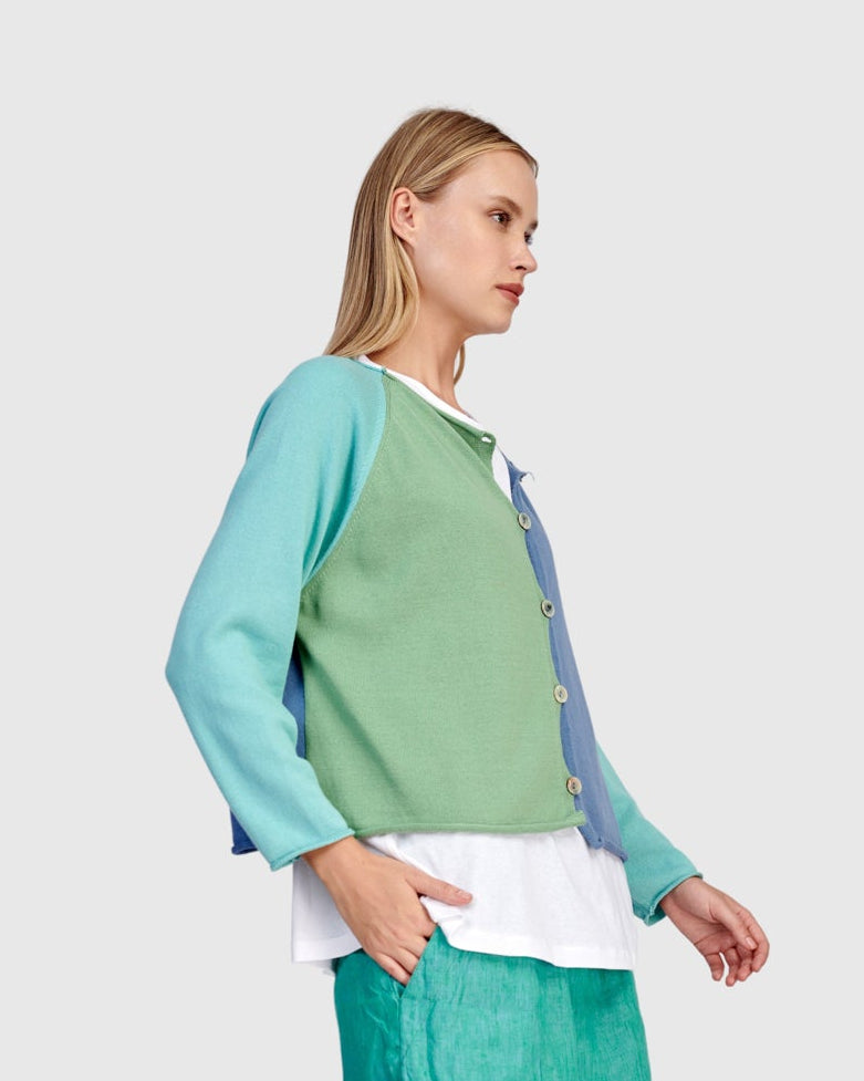 קרדיגן קולורבלוק אקווה