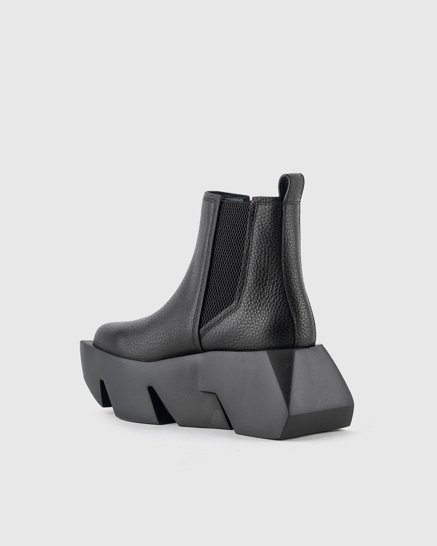 בול צ'לסי שחור