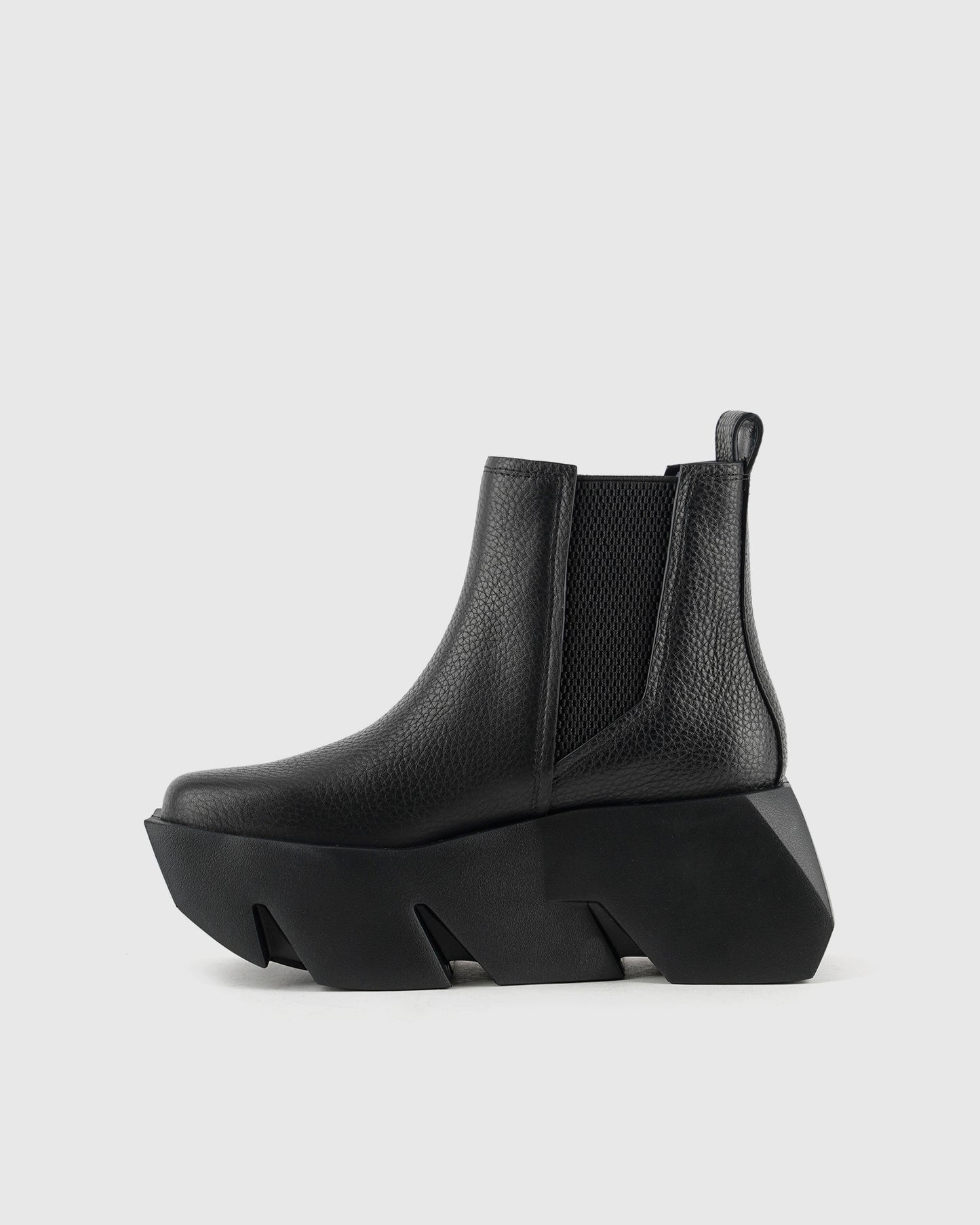 בול צ'לסי שחור