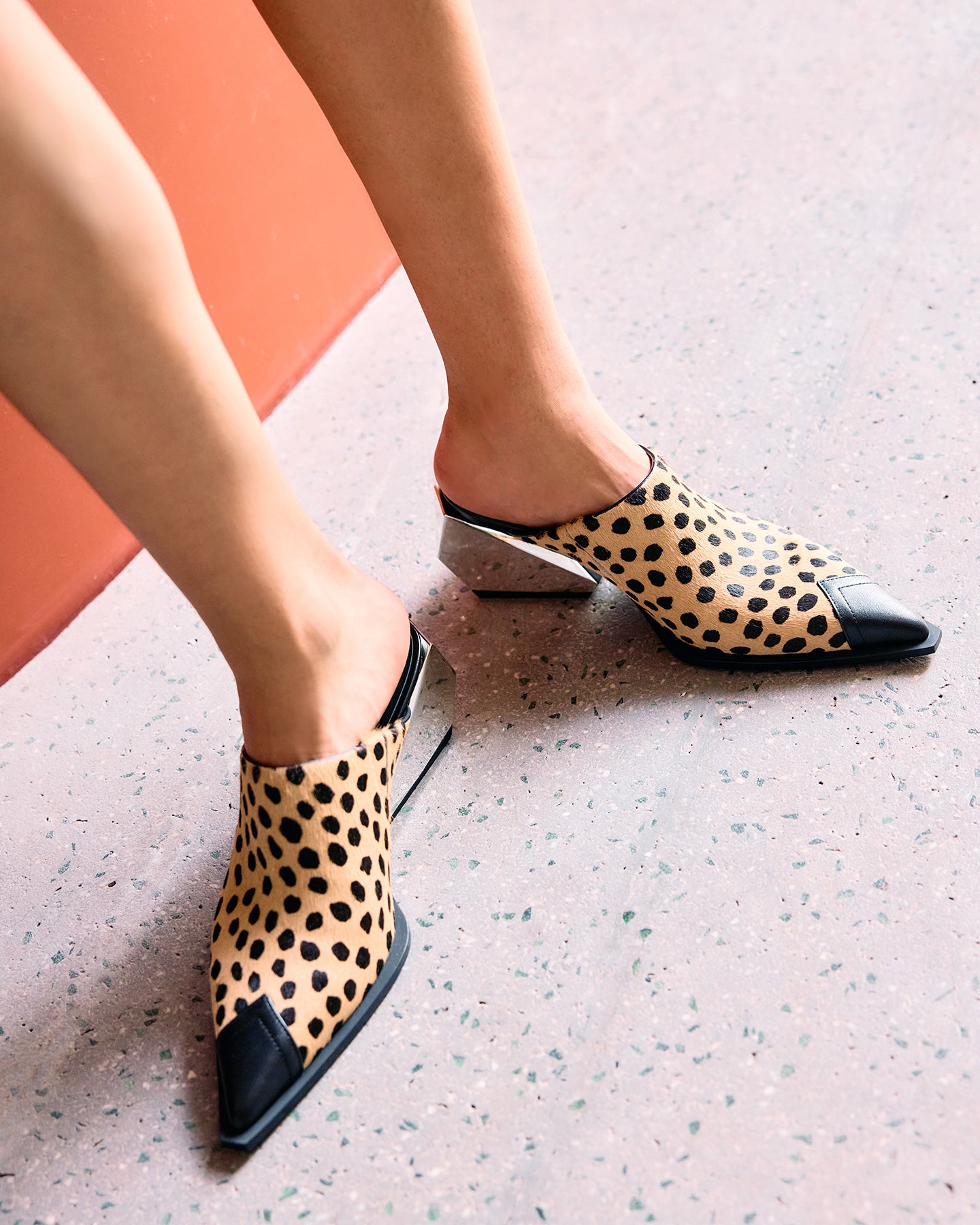 ריקי מיול מיד II צ'יטה